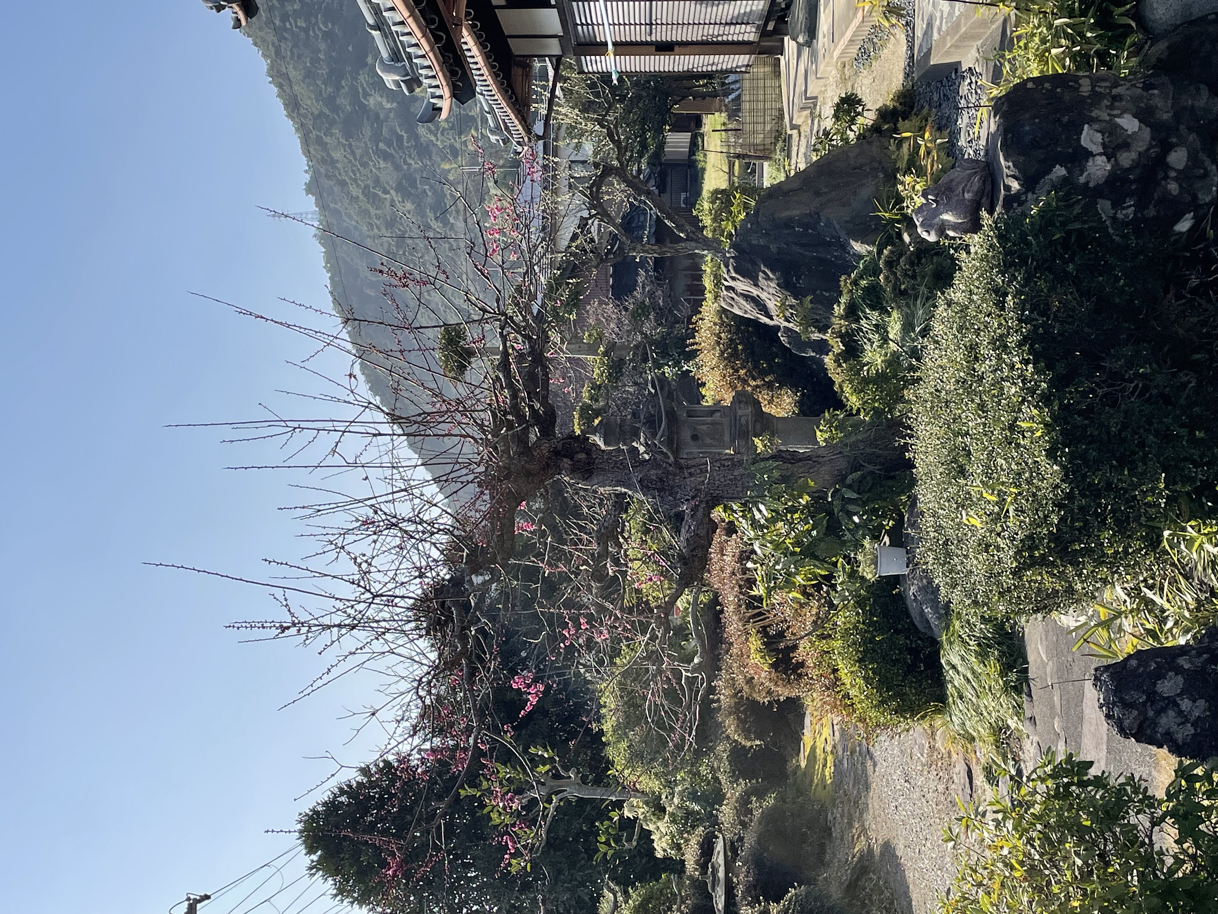 の画像